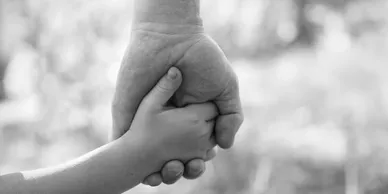 Parent holding child’s hand, symbolizing child custody investigations focused on child welfare and legal custody cases.