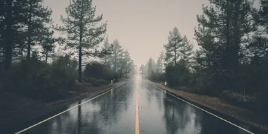Empty road representing missing persons investigations and search efforts
